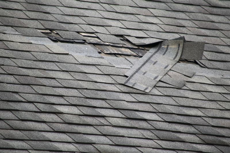 Asphalt Shingle Damage Repair